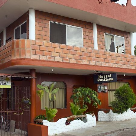 Hostal Cattleya Пуэрто-Бакерисо-Морено Экстерьер фото