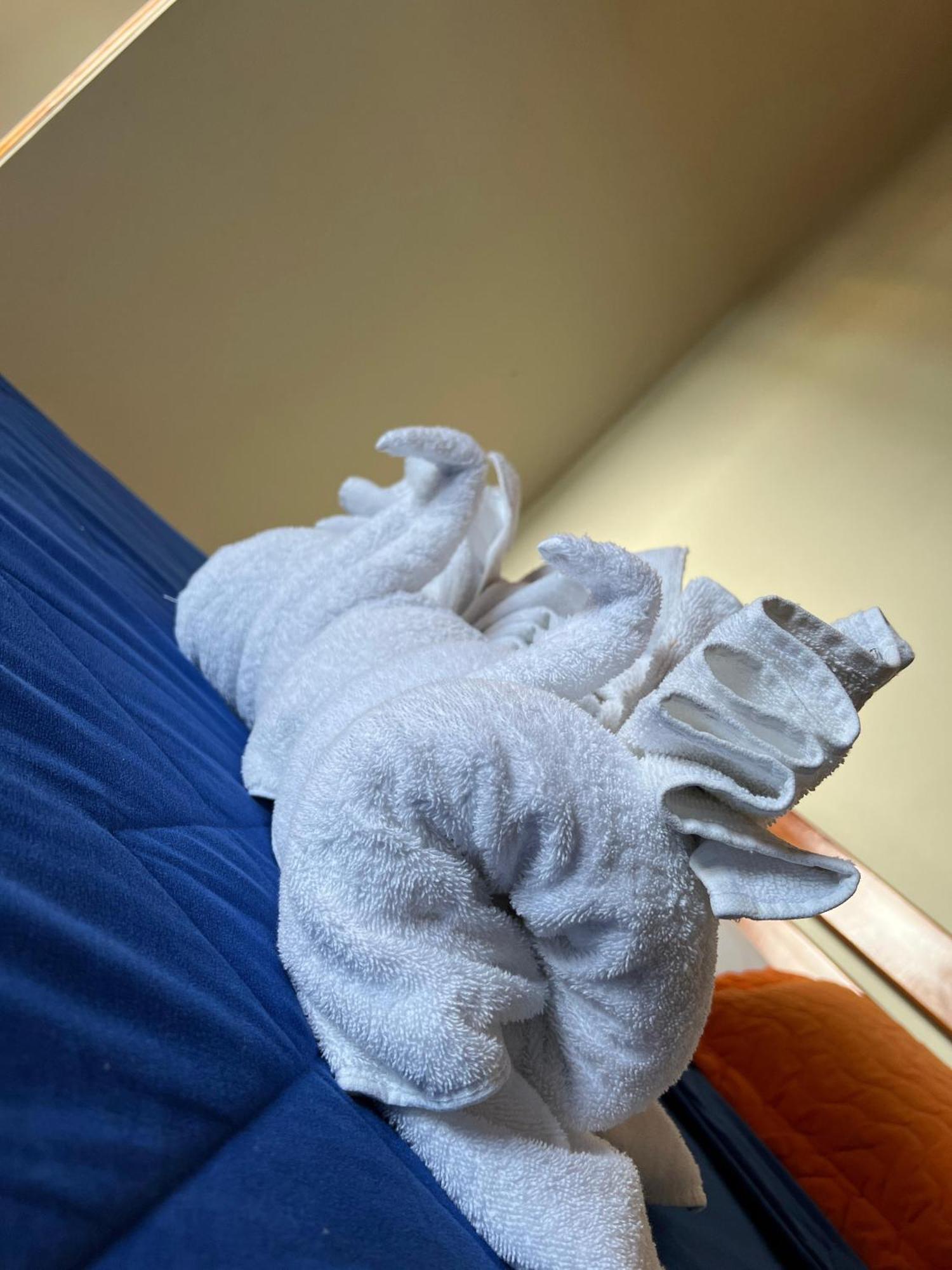 Hostal Cattleya Пуэрто-Бакерисо-Морено Экстерьер фото