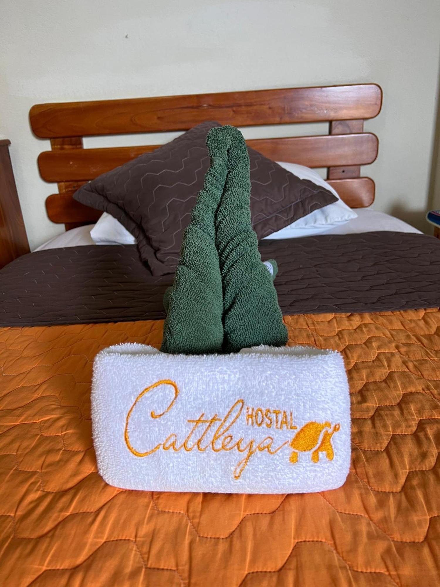 Hostal Cattleya Пуэрто-Бакерисо-Морено Экстерьер фото